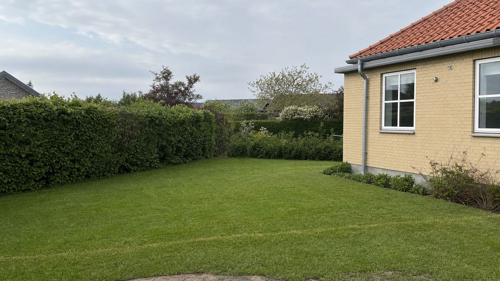Forsidebillede til guiden